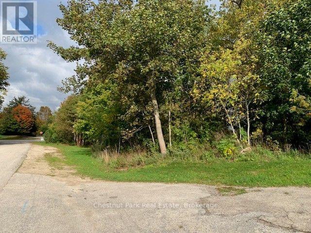 110 Church Street Property Photo 6