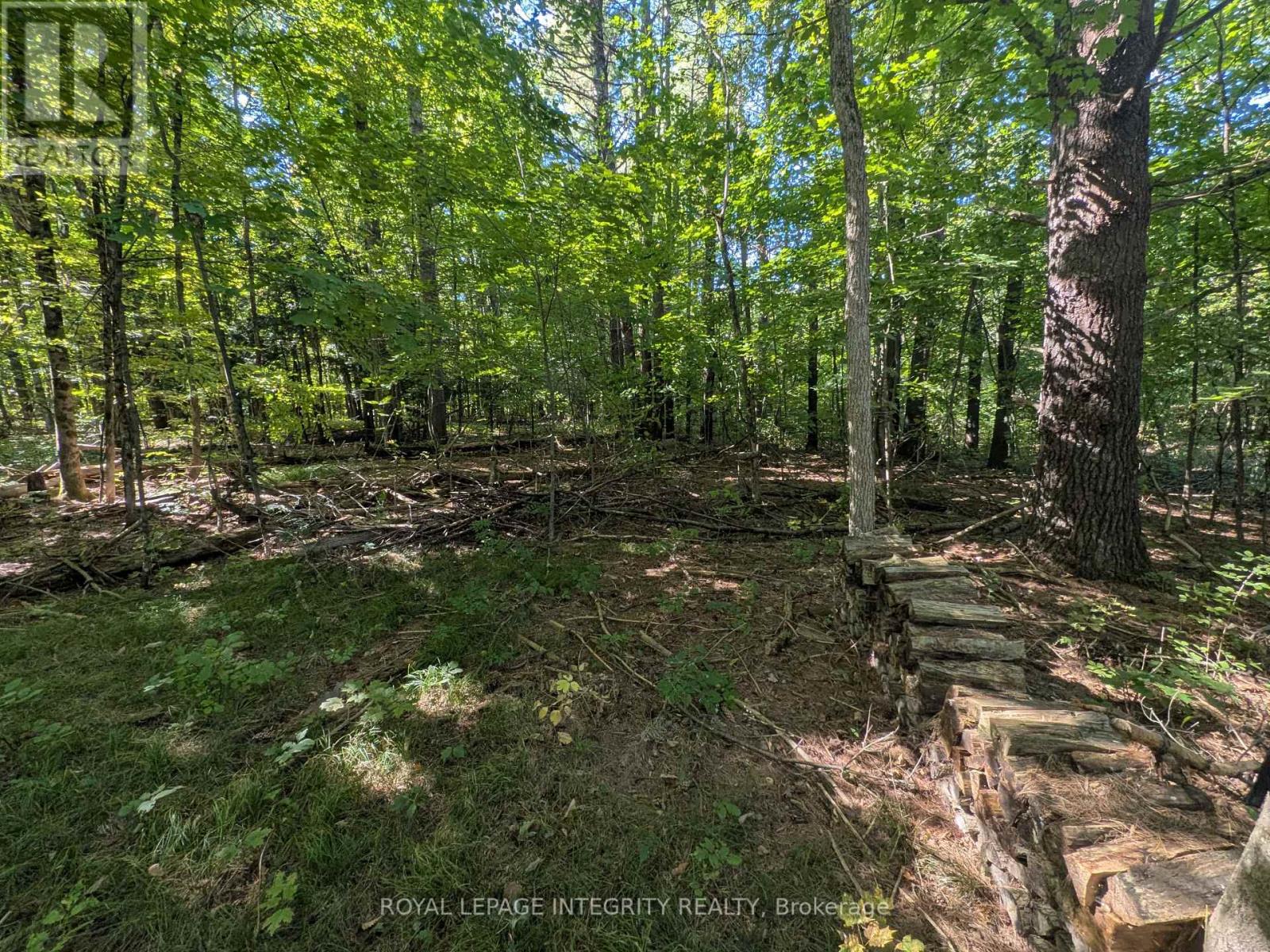 229 Norris Road Property Photo 23