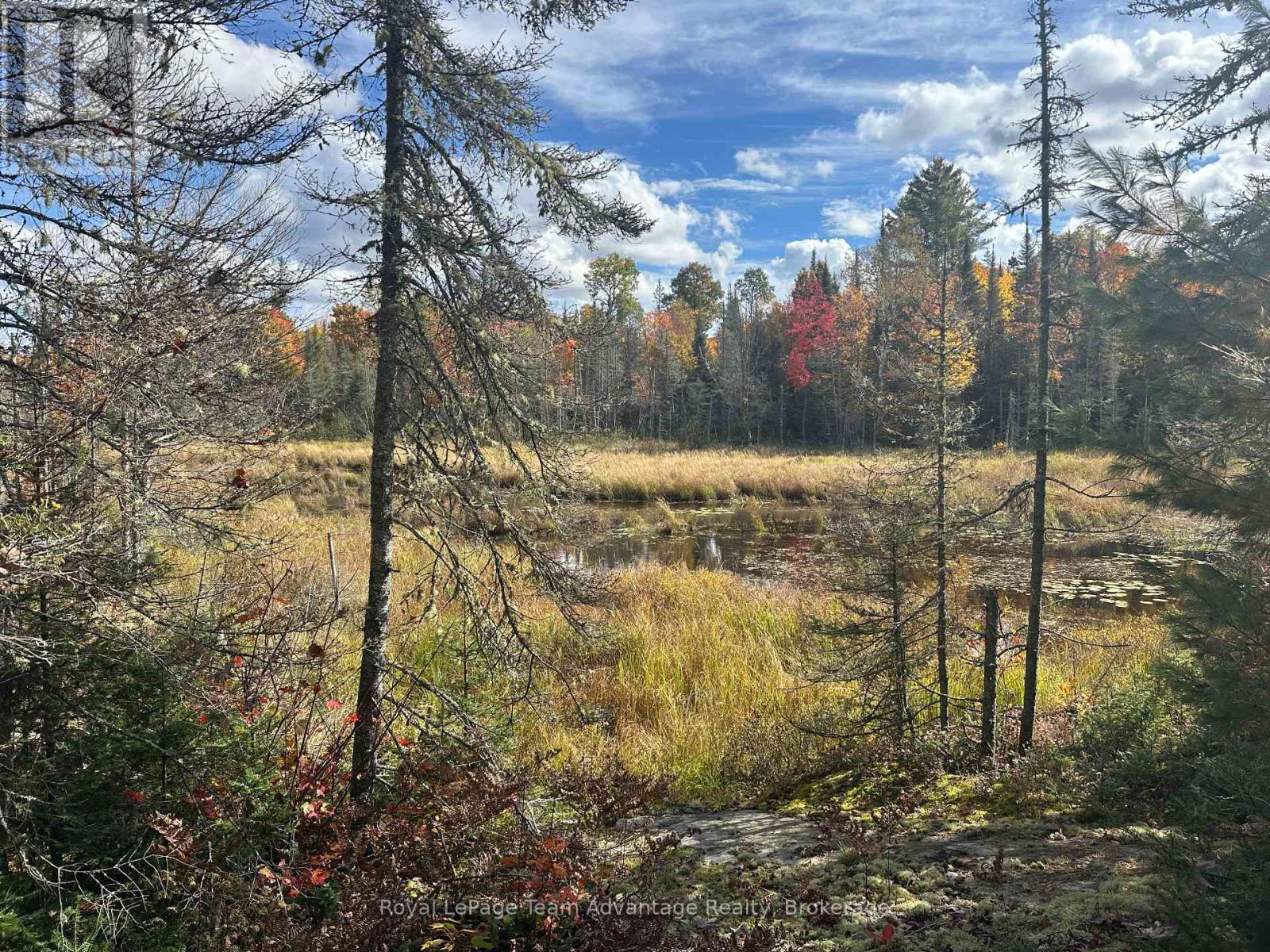 3025 Highway 124 Highway Property Photo 31