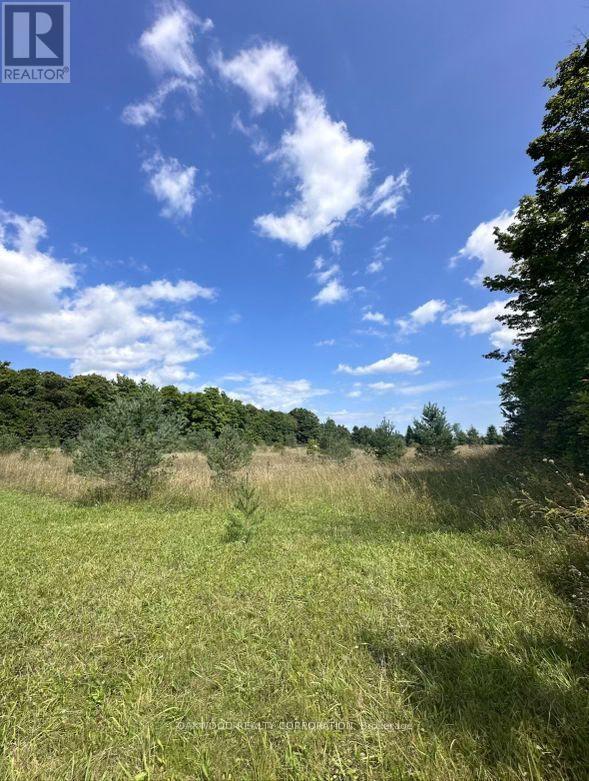 0 Side Road 60 Property Photo 2