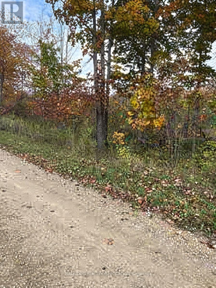 0 Side Road 60 Property Photo 3