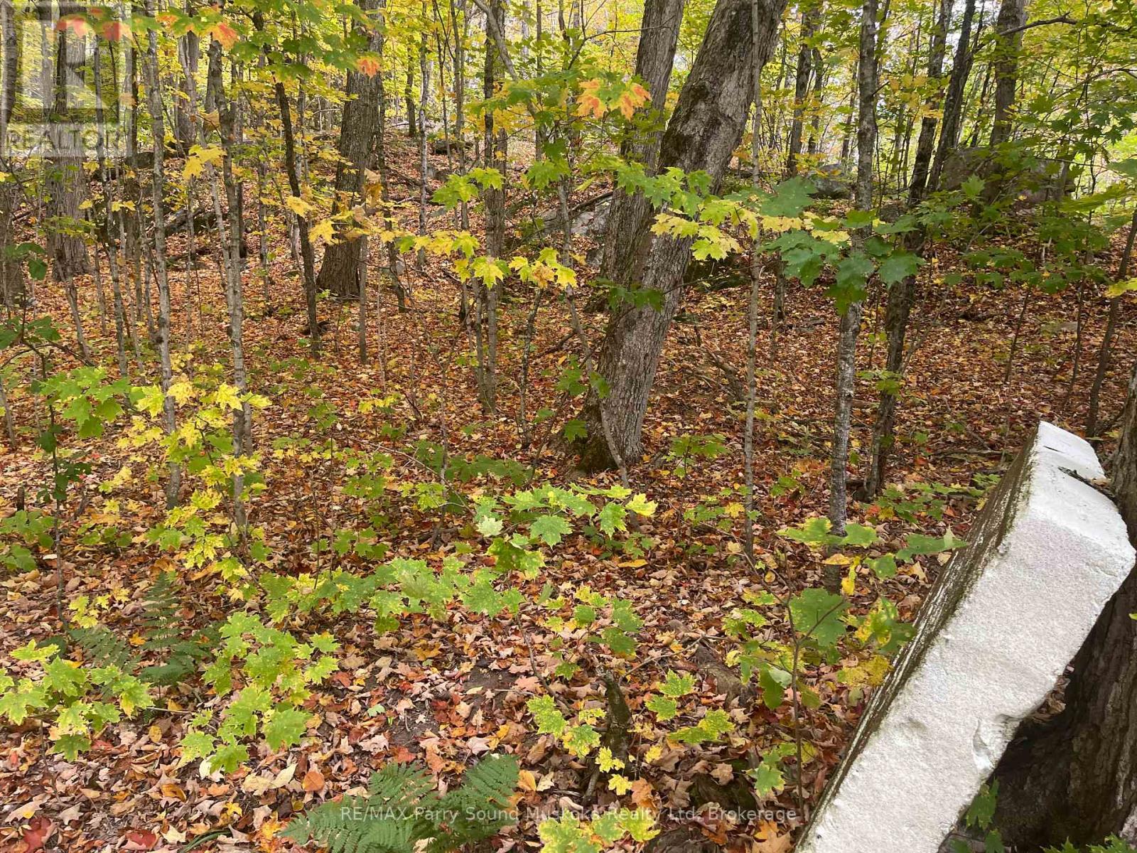 3 Maplewood Drive Property Photo 11