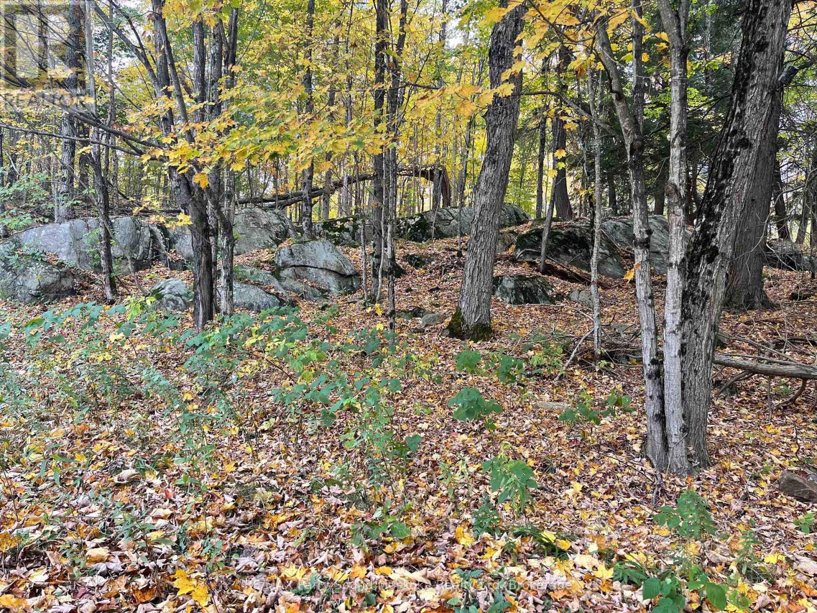 3 Maplewood Drive Property Photo 12