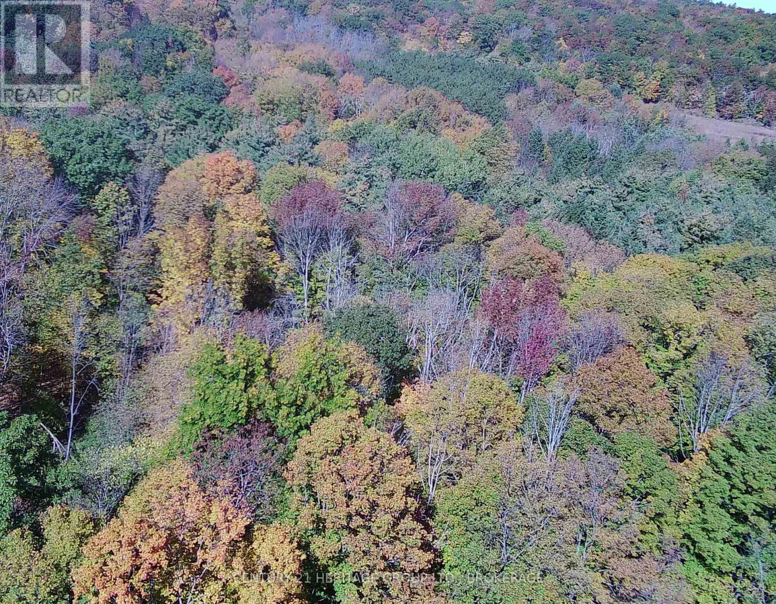 00 Burnt Hills Road Property Photo 39