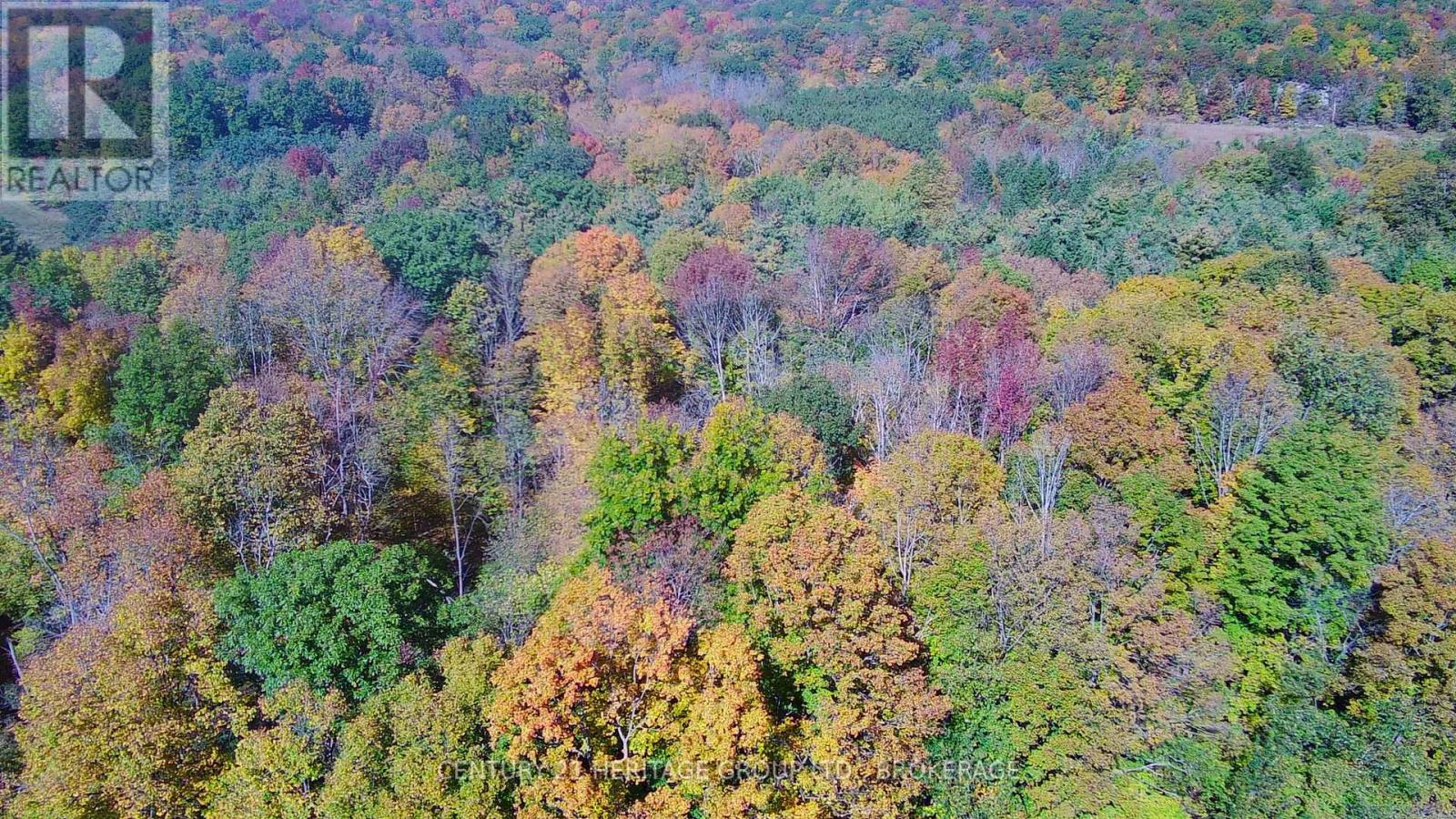 00 Burnt Hills Road Property Photo 44