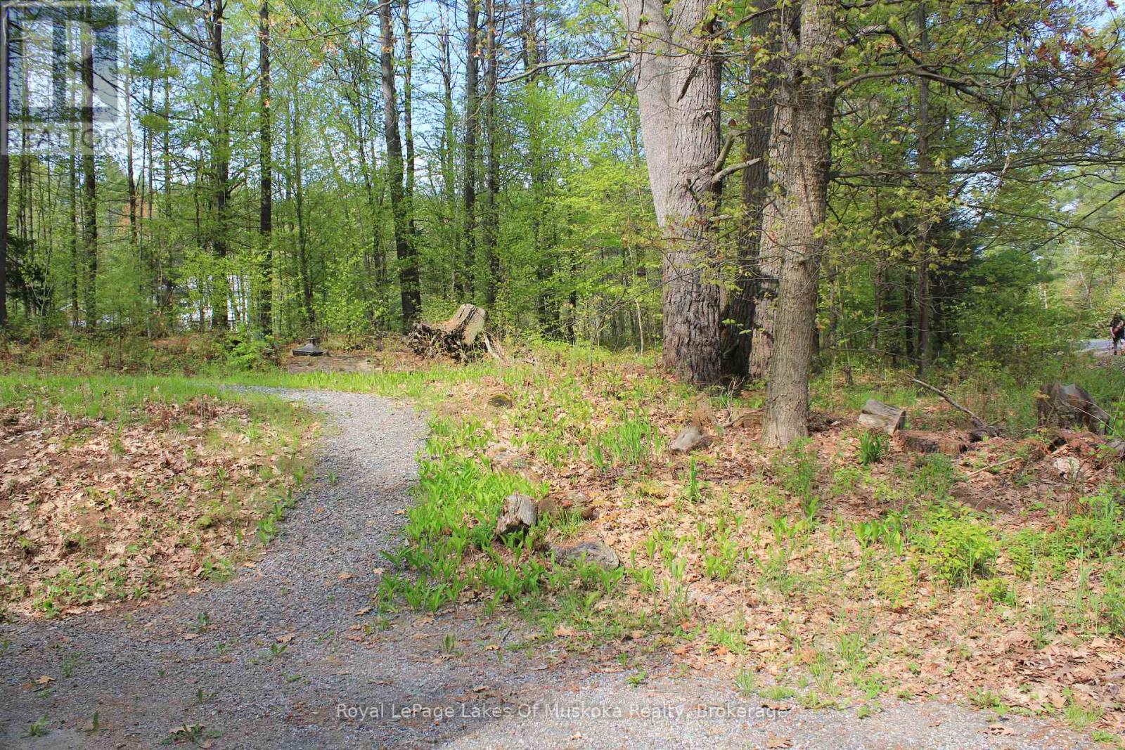886 Muskoka 10 Road Property Photo 11