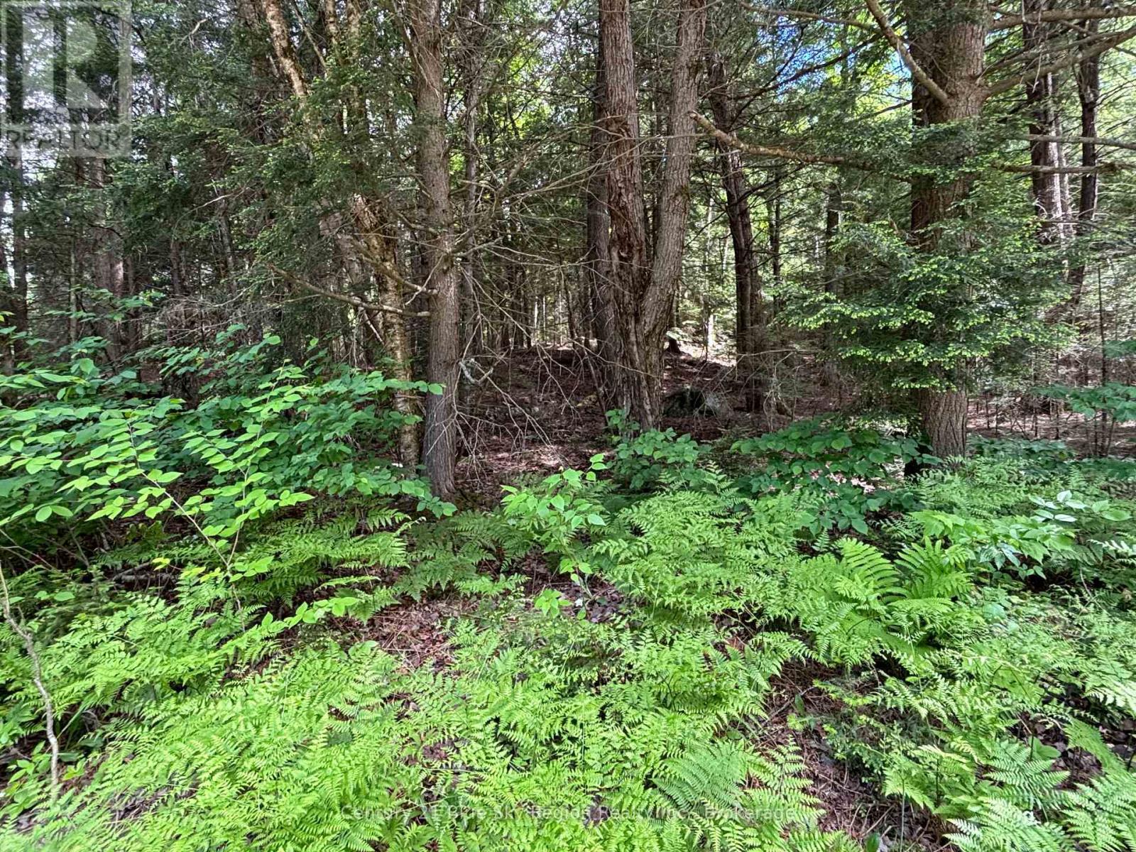 Lot 2 Latimer Lane Property Photo 4