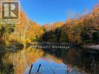 1703 Matawatchan Road Property Photo 3