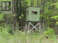 1703 Matawatchan Road Property Photo 4
