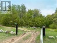 1703 Matawatchan Road Property Photo 6