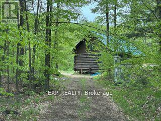 1703 Matawatchan Road Property Photo 9