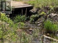 1703 Matawatchan Road Property Photo 24