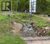 1703 Matawatchan Road Property Photo 25