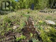 1703 Matawatchan Road Property Photo 26