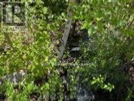 1703 Matawatchan Road Property Photo 27