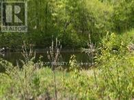 1703 Matawatchan Road Property Photo 28