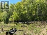 1703 Matawatchan Road Property Photo 33