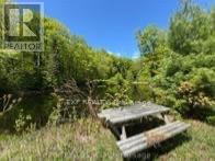 1703 Matawatchan Road Property Photo 34