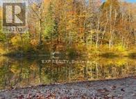1703 Matawatchan Road Property Photo 36