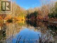 1703 Matawatchan Road Property Photo 37