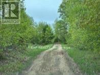 1703 Matawatchan Road Property Photo 38