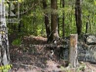 1703 Matawatchan Road Property Photo 40