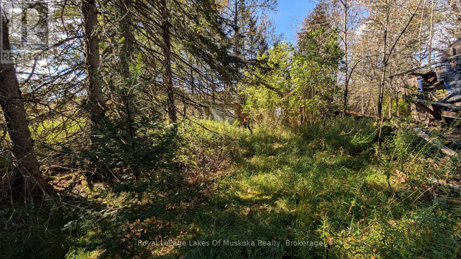 1827 Highway 141 Highway Property Photo 14