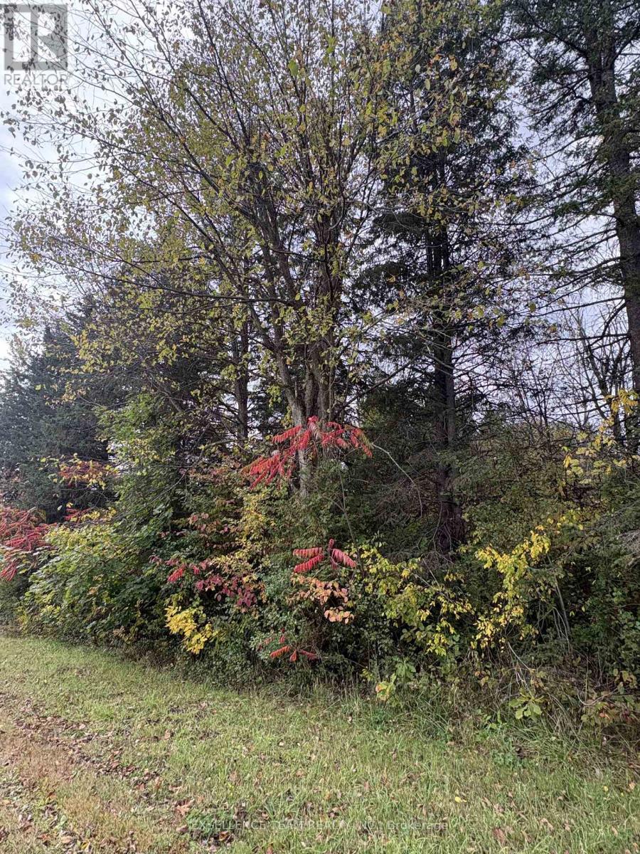 N/a Glen Roy Rd Road Property Photo 1