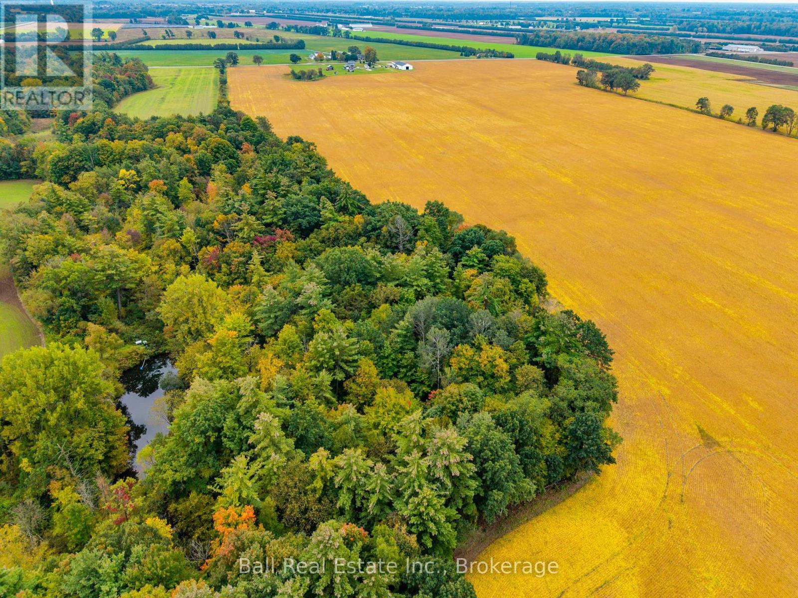 126183 Mall Road Property Photo 5
