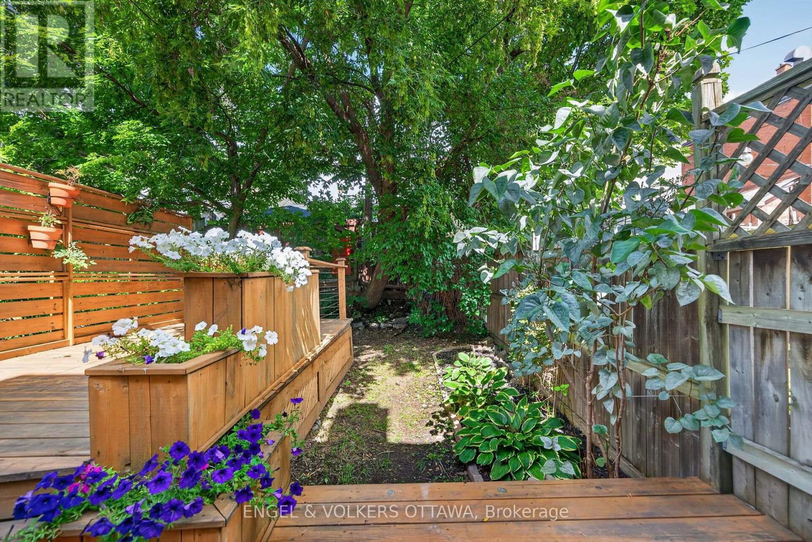 75 Eccles Street Property Photo 5