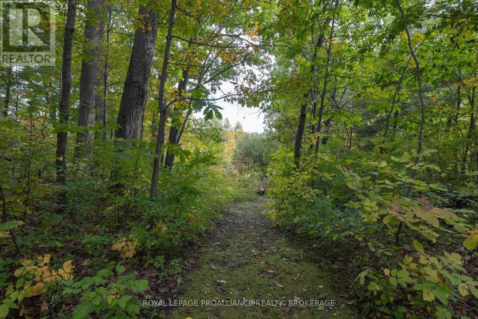 106 Old River Road Property Photo 34