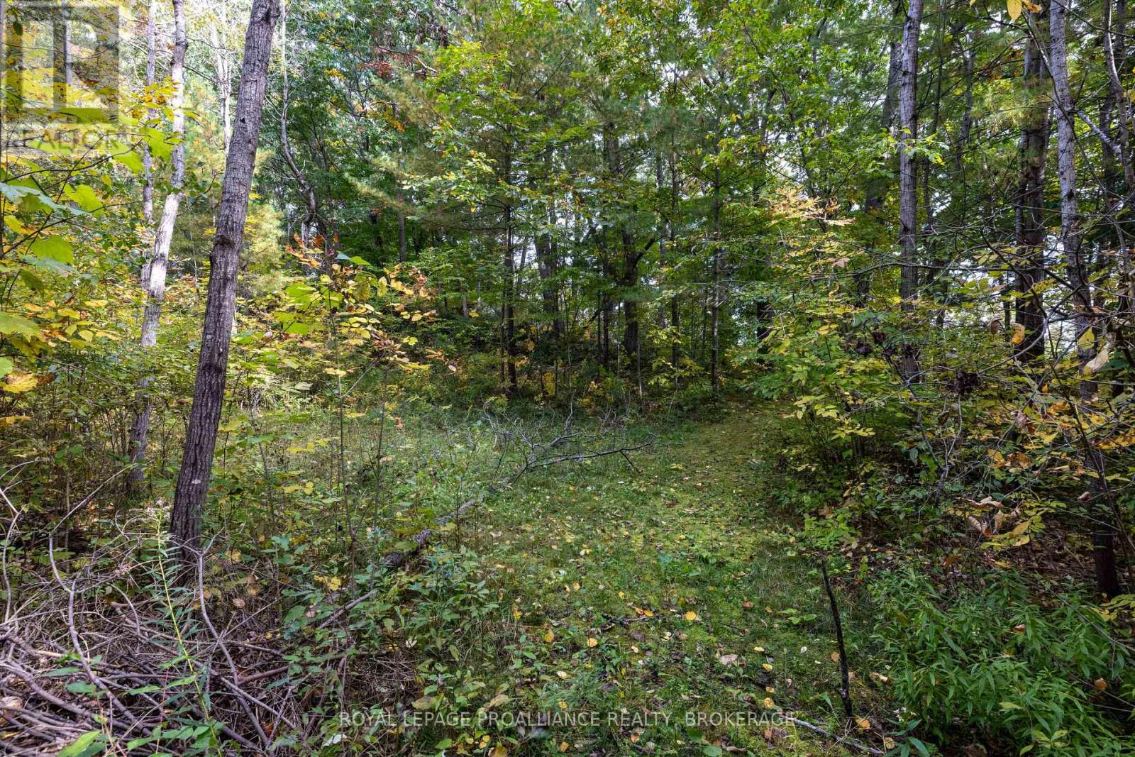 106 Old River Road Property Photo 35
