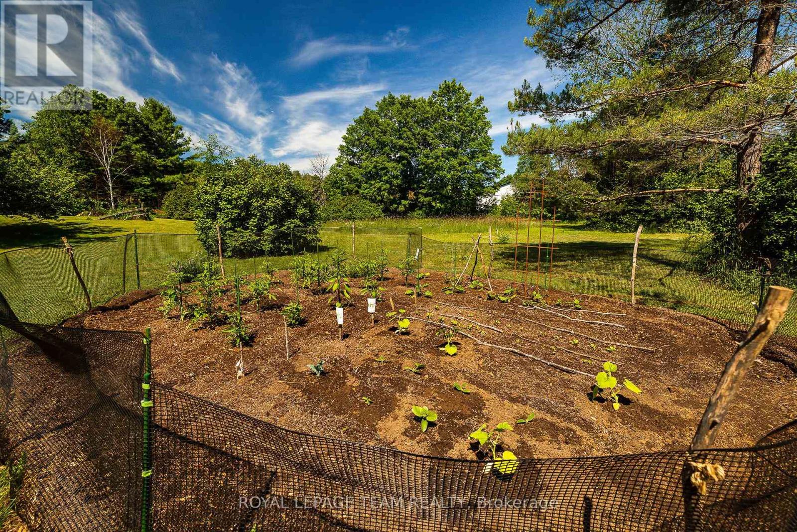 531 Craig Road Property Photo 45