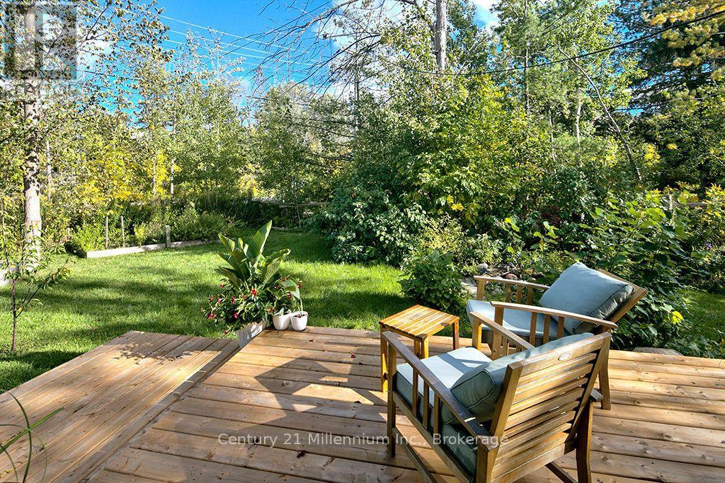 102 Martin Grove Property Photo 35