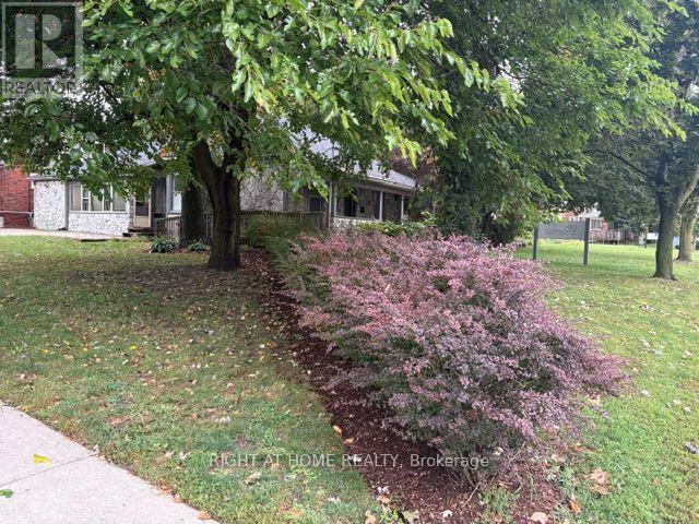 790 Maitland Street Property Photo 4