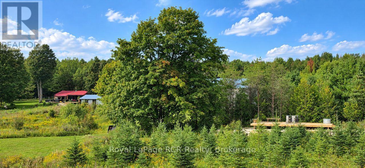 585216 Sideroad 10a Property Photo 37