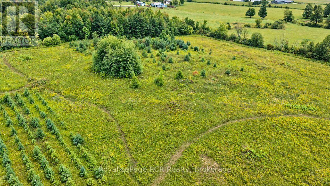 585216 Sideroad 10a Property Photo 43