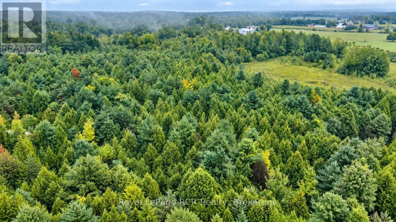585216 Sideroad 10a Property Photo 45