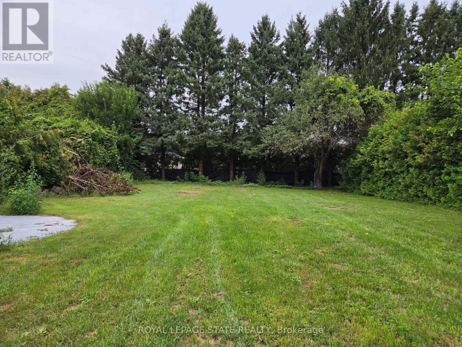8 Lyndhurst Avenue Property Photo 6