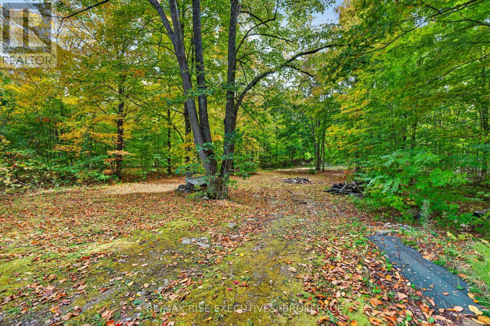2363 Sands Road Property Photo 35