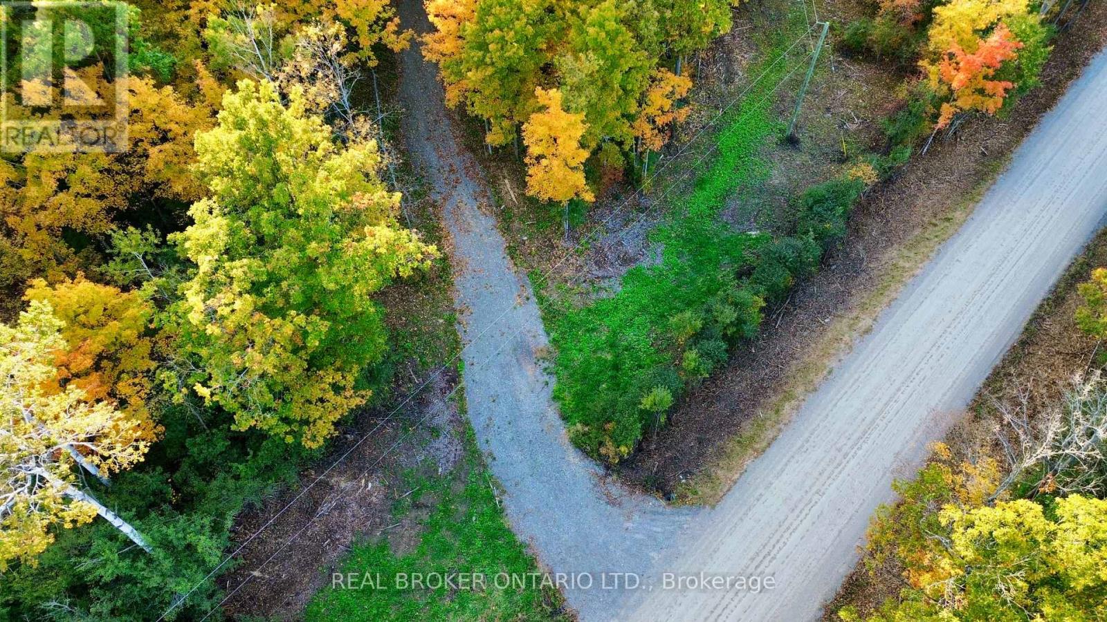 349 Burchill Road Property Photo 13