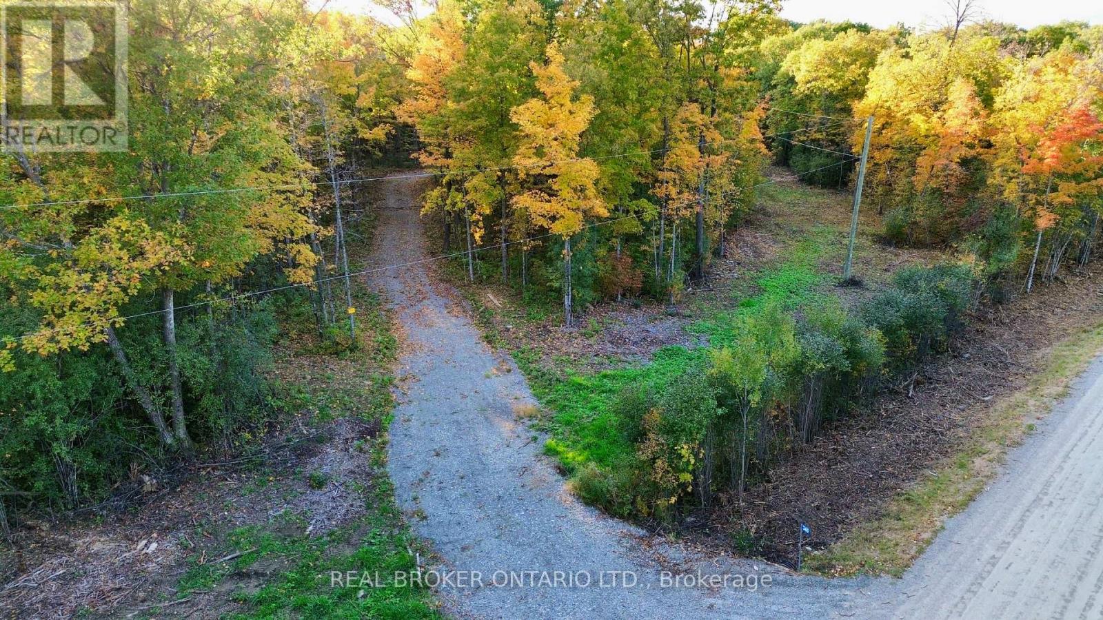 349 Burchill Road Property Photo 14