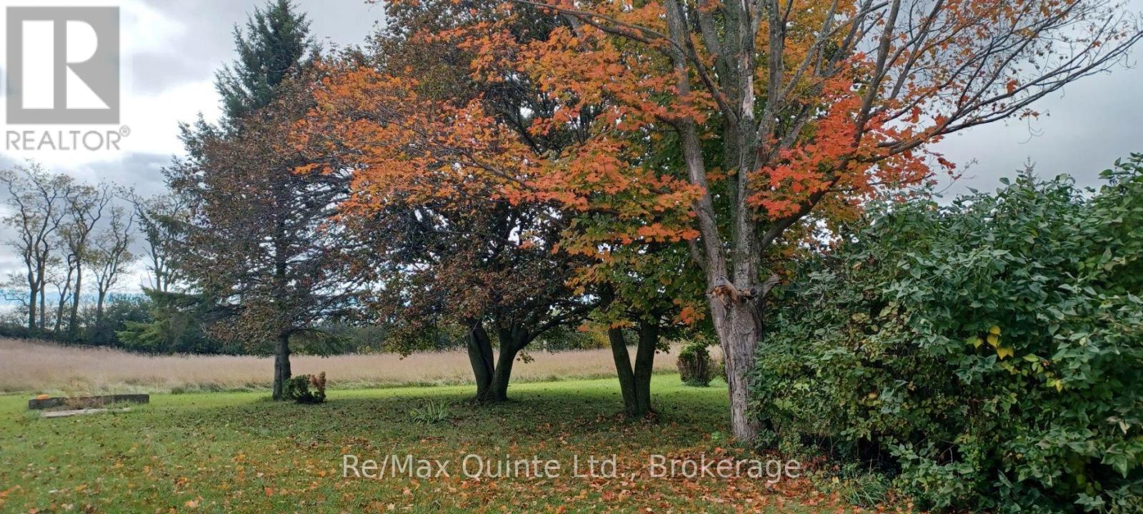3511 County Road 1 Property Photo 23