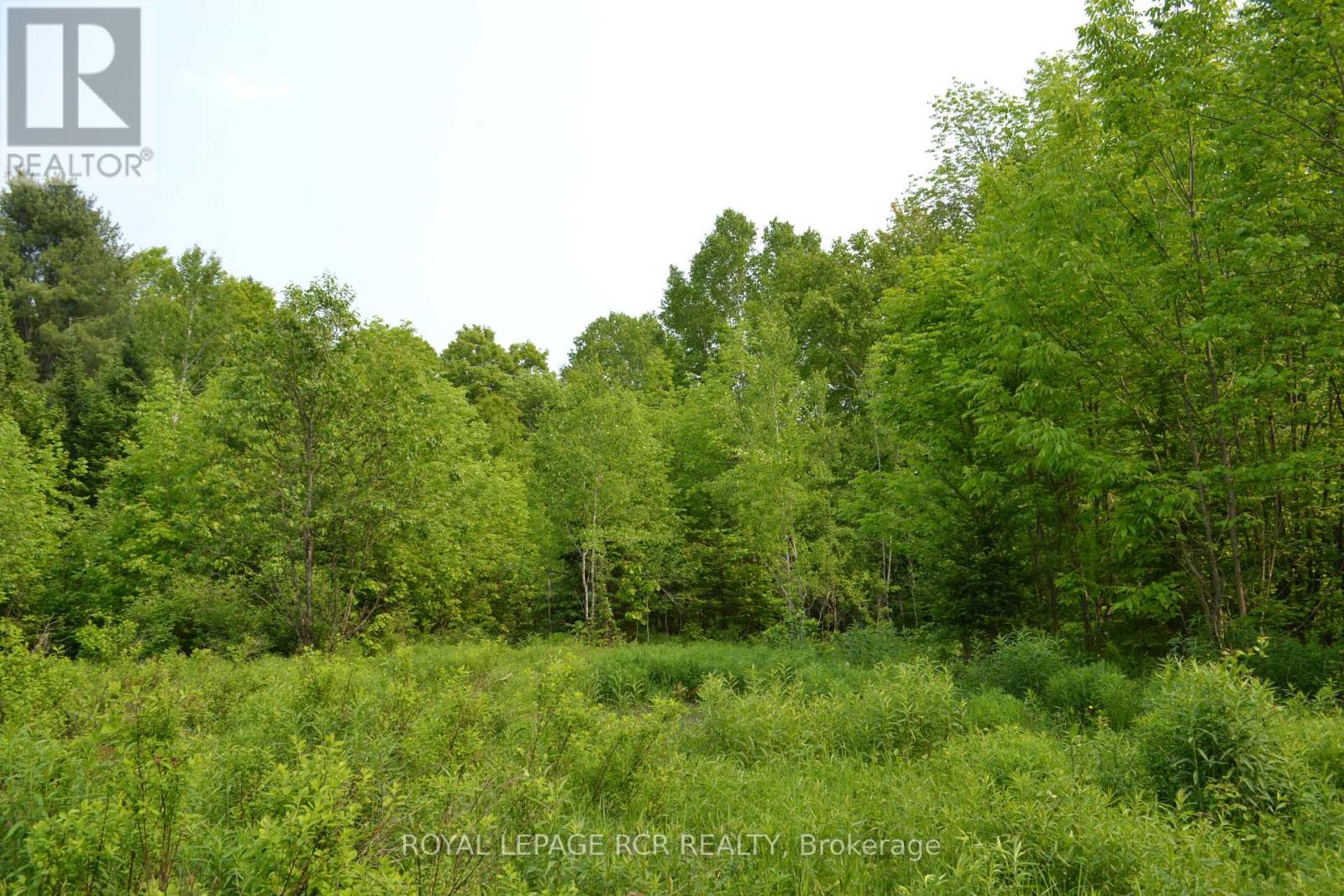 1527 Madill Road Property Photo 4