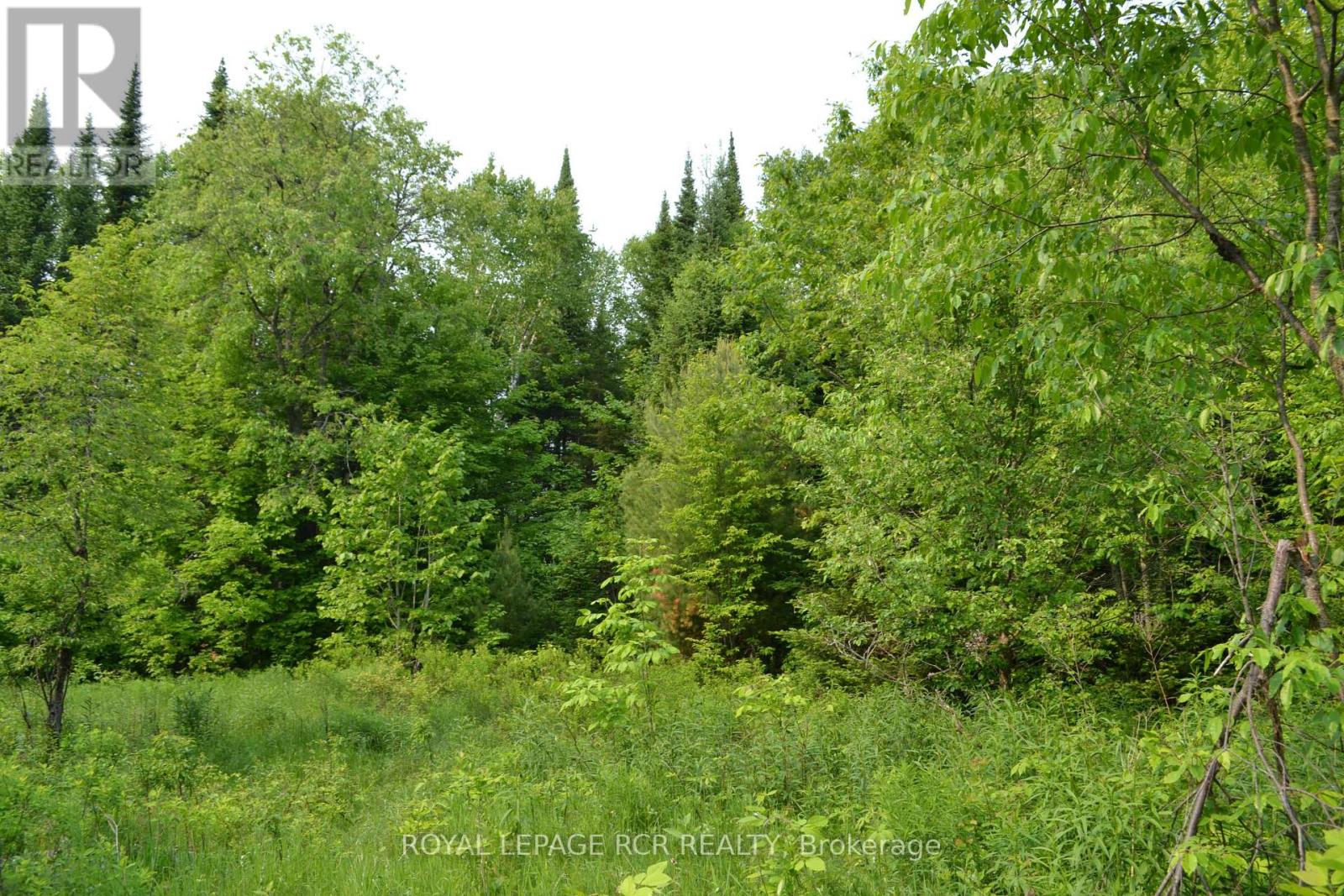 1527 Madill Road Property Photo 7
