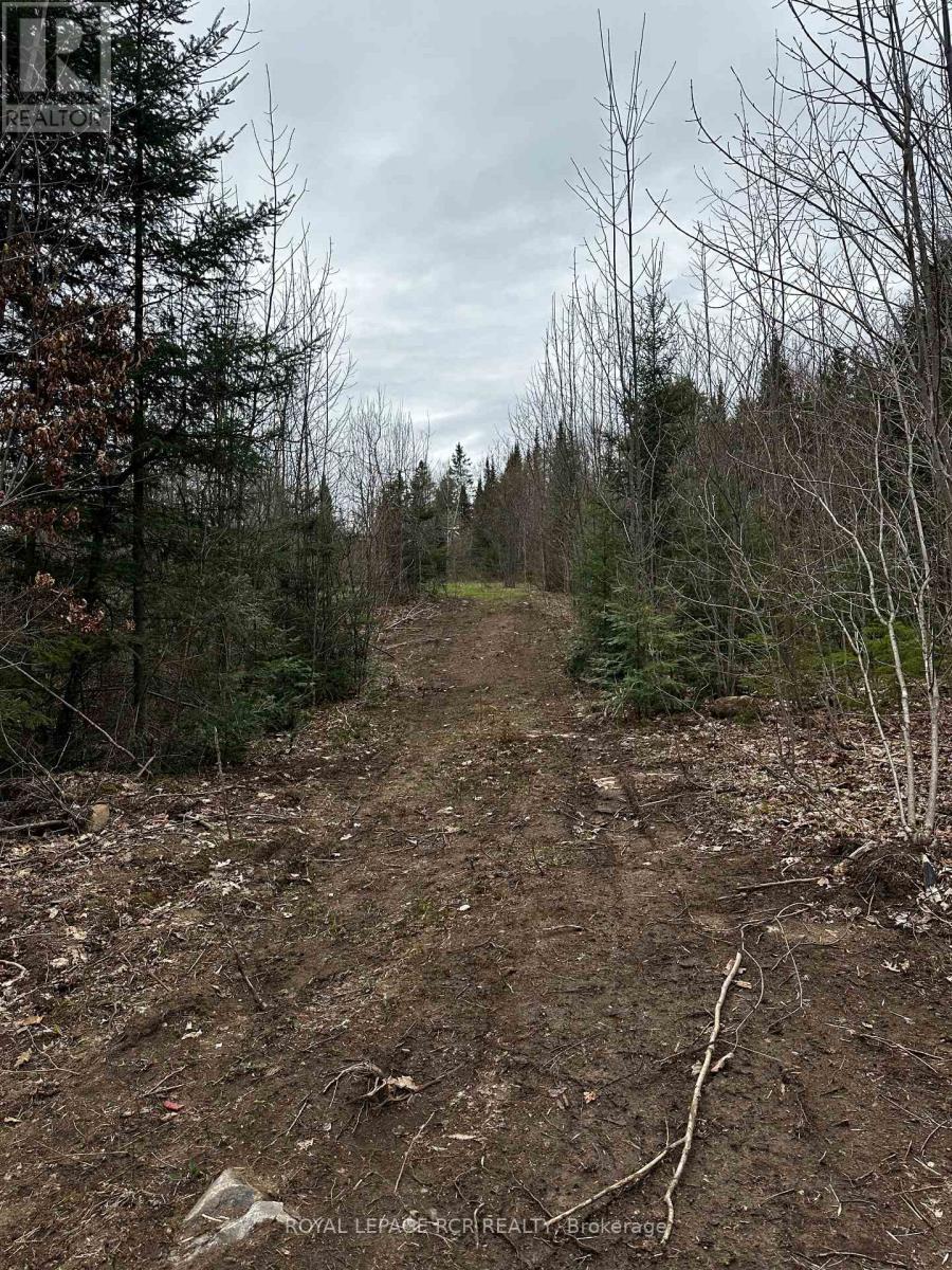 1527 Madill Road Property Photo 9