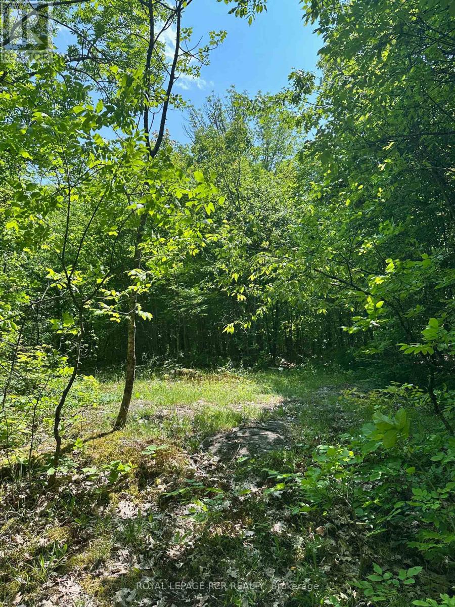 1527 Madill Road Property Photo 11