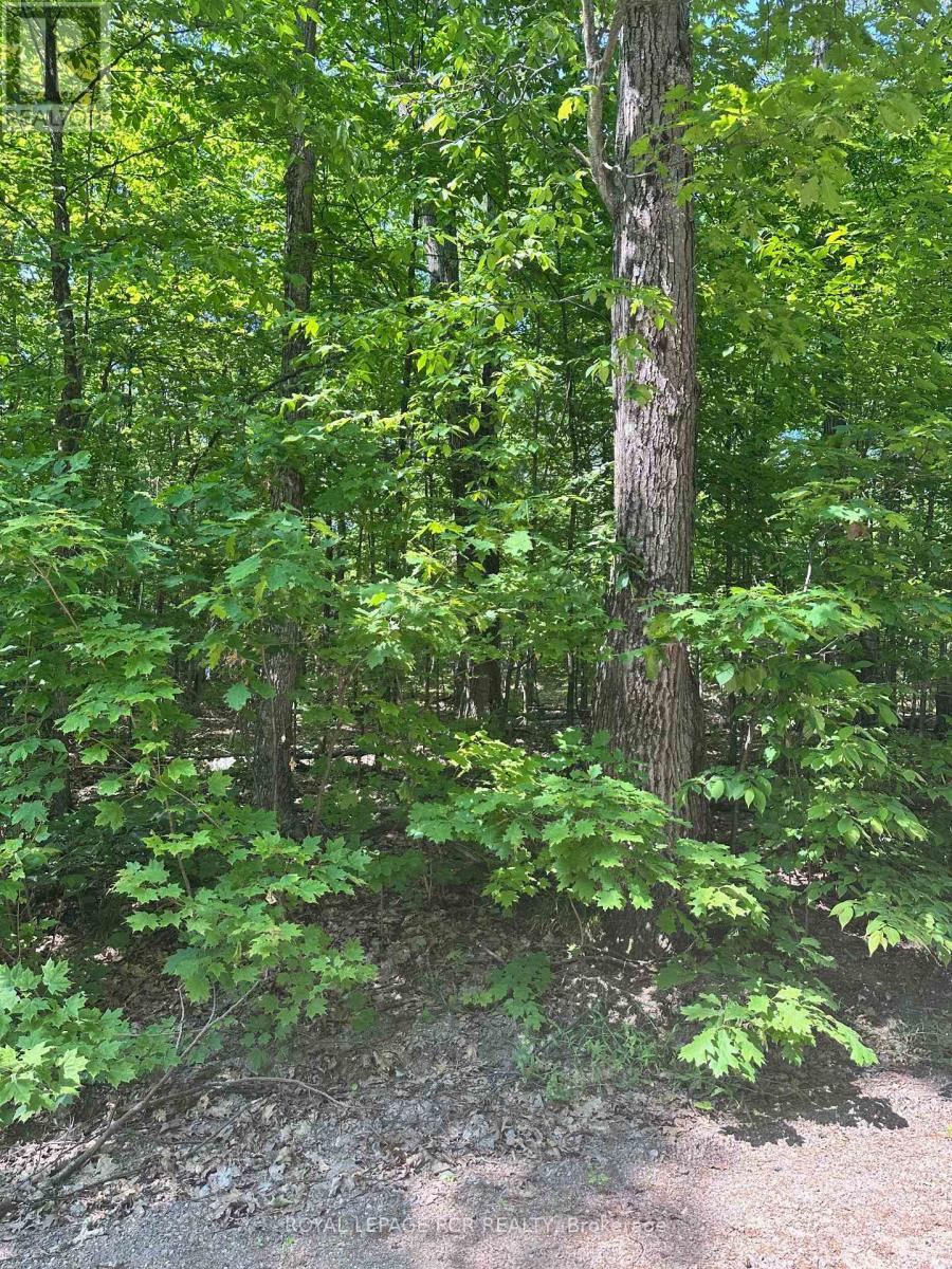 1527 Madill Road Property Photo 13