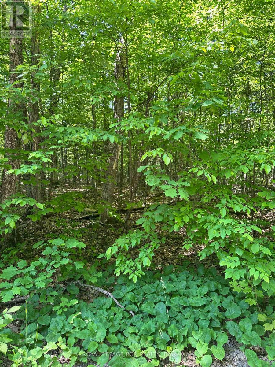 1527 Madill Road Property Photo 14