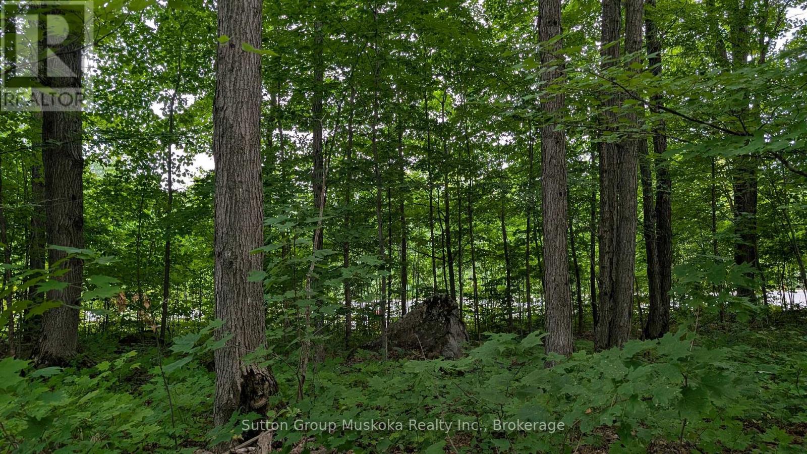 837 Aspdin Road Property Photo 1